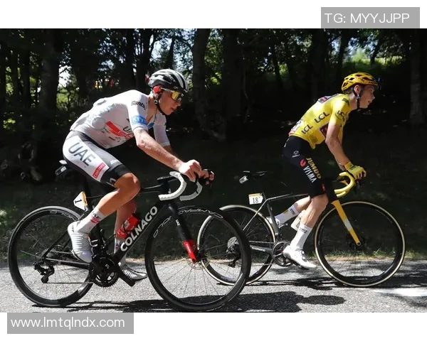 波加查与足球明星的跨界合作与友谊故事探秘