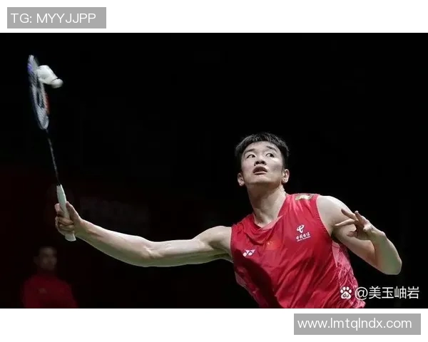 羽毛球传奇：见证北京羽毛球队从低谷到巅峰的奋斗历程