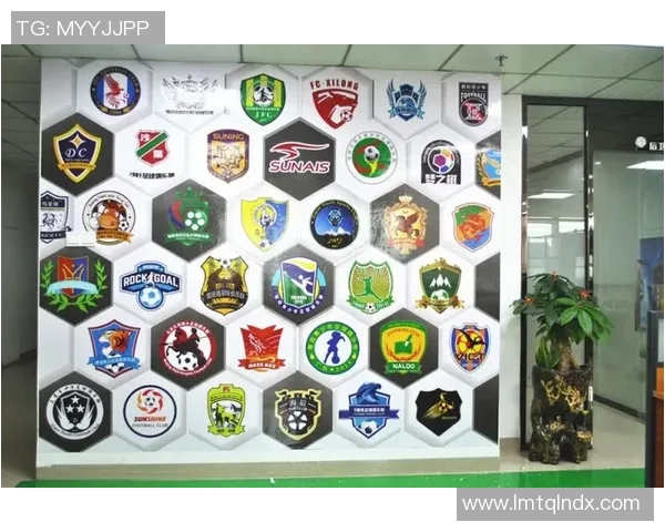 深圳足球的精神象征与城市文化的深度融合探讨